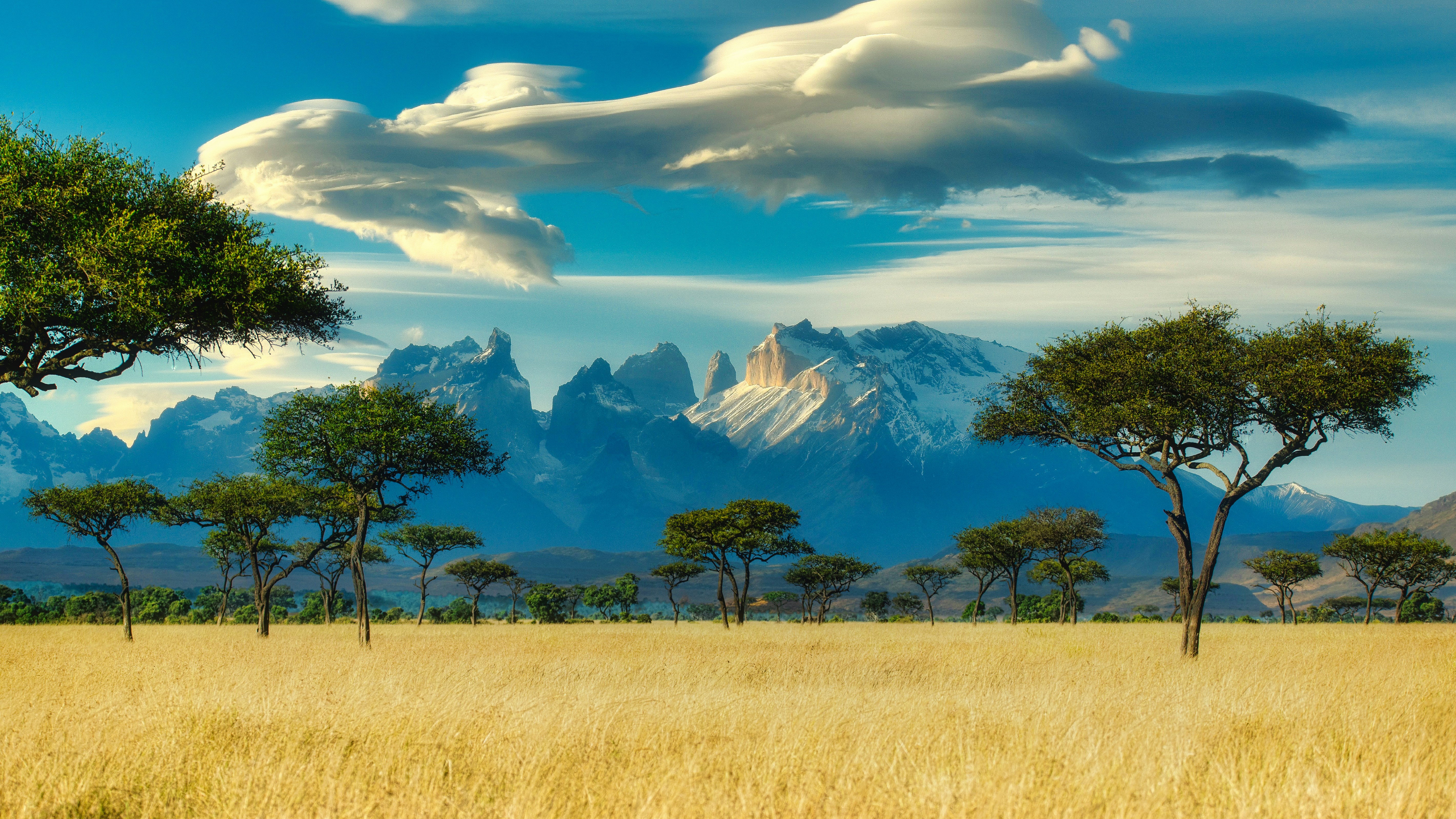 Africa